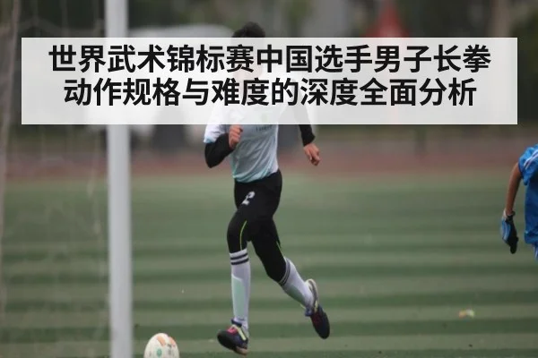 世界武术锦标赛中国选手男子长拳动作规格与难度的深度全面分析